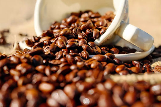 Café de spécialité vs café d’exception : la réelle différence