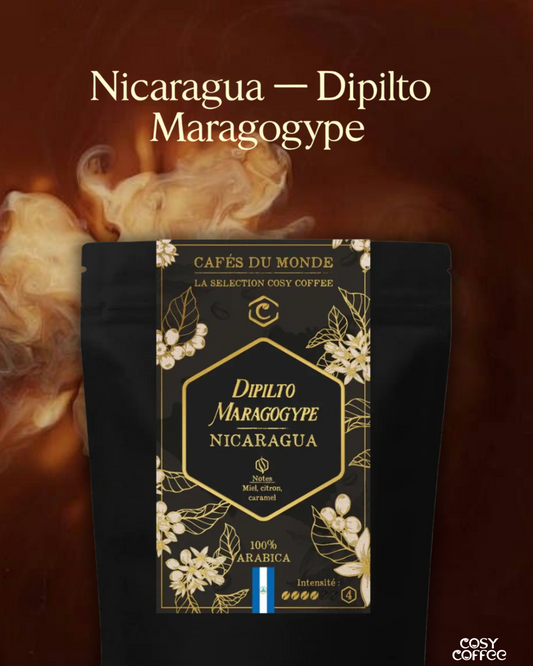 Nicaragua – Dipilto Maragogype (café excepcional)
