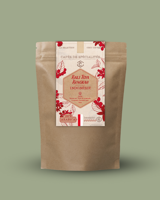 India – Karnataka Malabar Mudigere