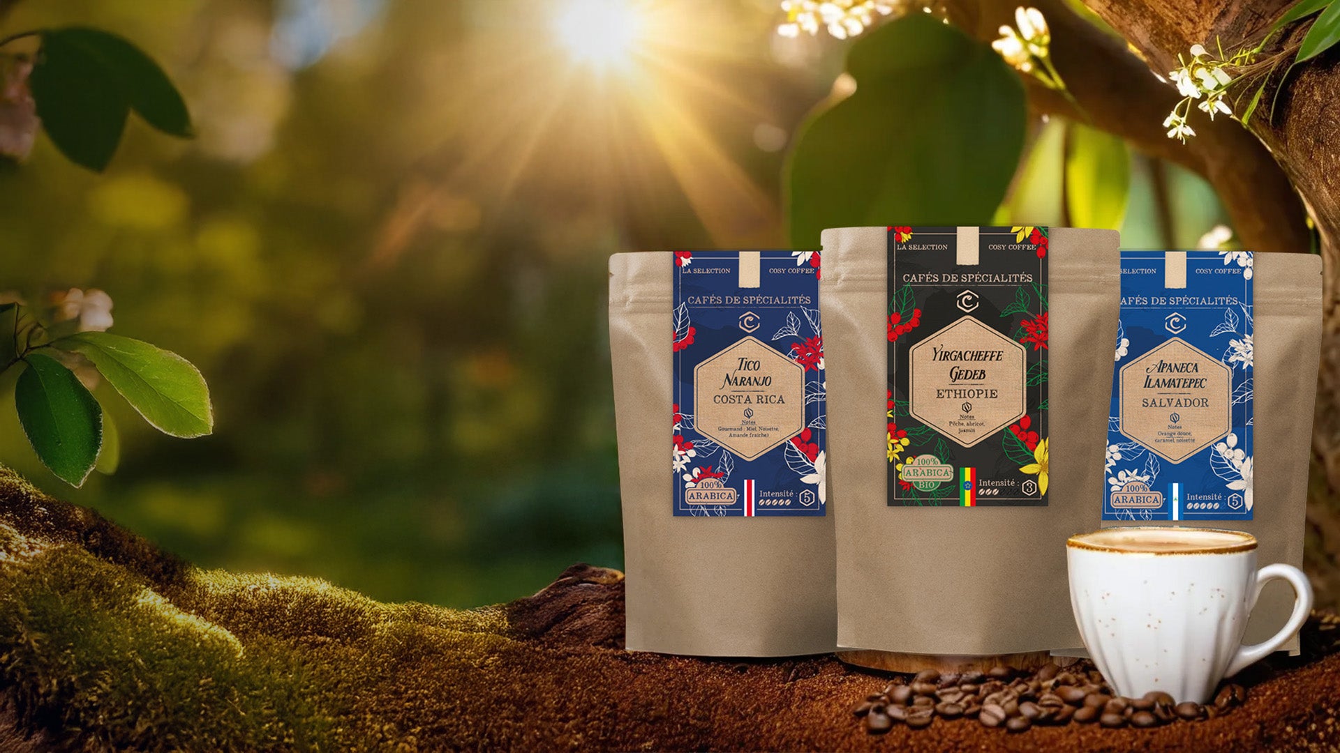 Un café d’exception, traçable & torréfié en France - Cosy Coffee