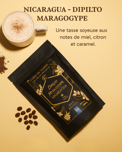 Nicaragua – Dipilto Maragogype (exceptional coffee)