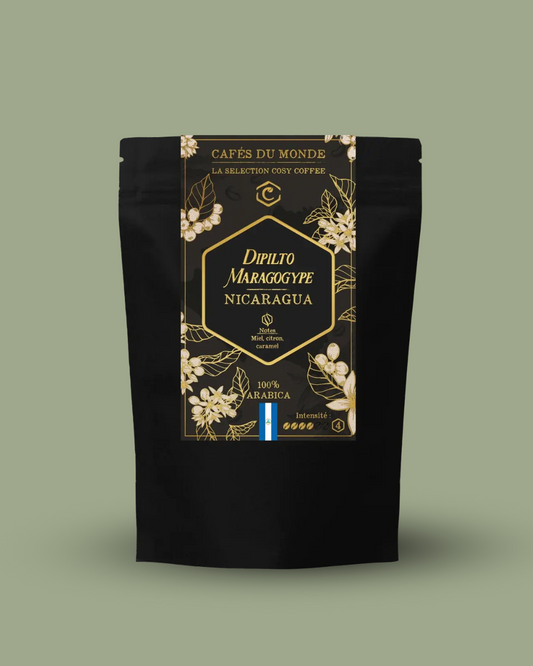 Nicaragua – Dipilto Maragogype (café d’exception)