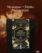 Nicaragua – Dipilto Maragogype (café d’exception)