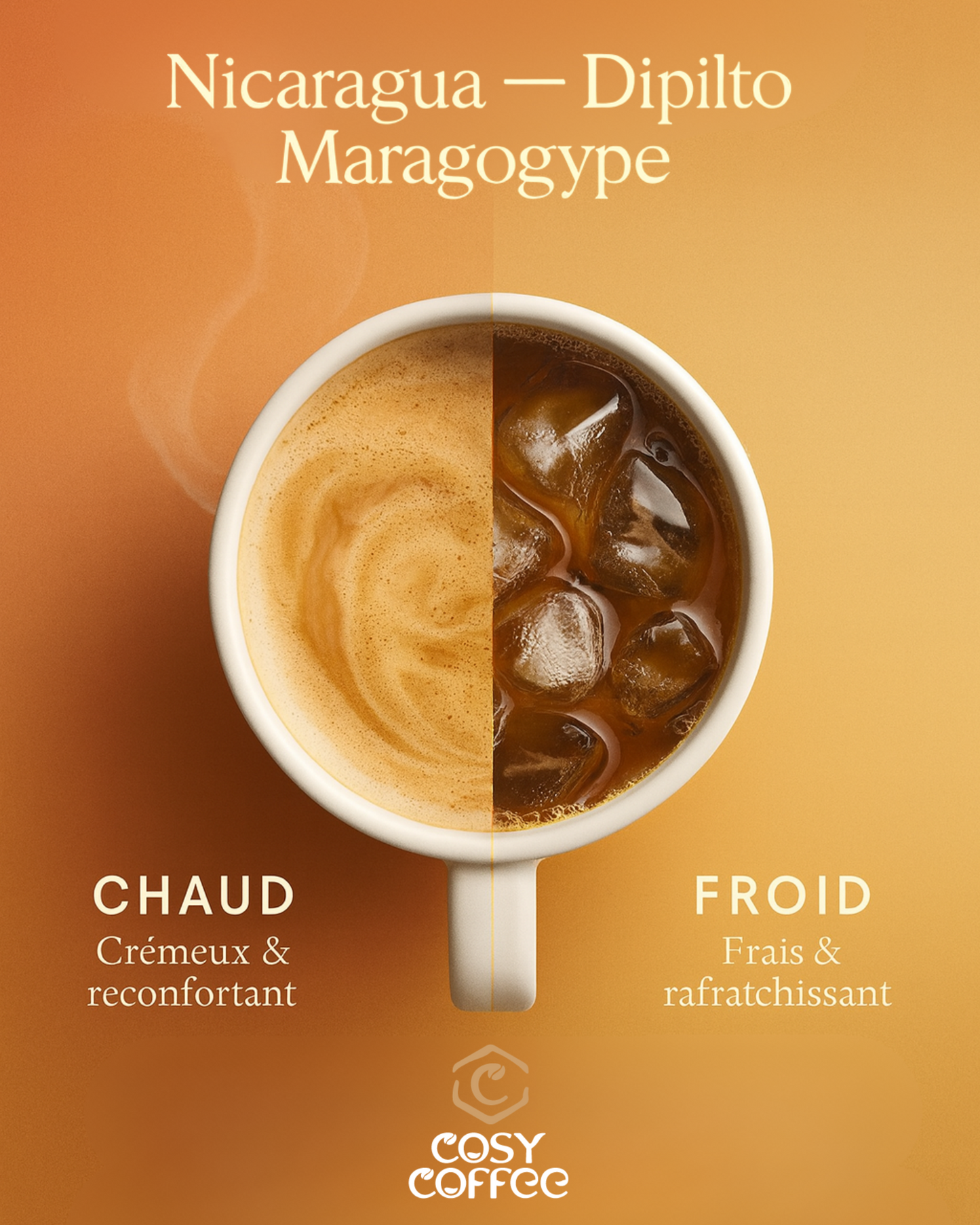 Nicaragua – Dipilto Maragogype (exceptional coffee)